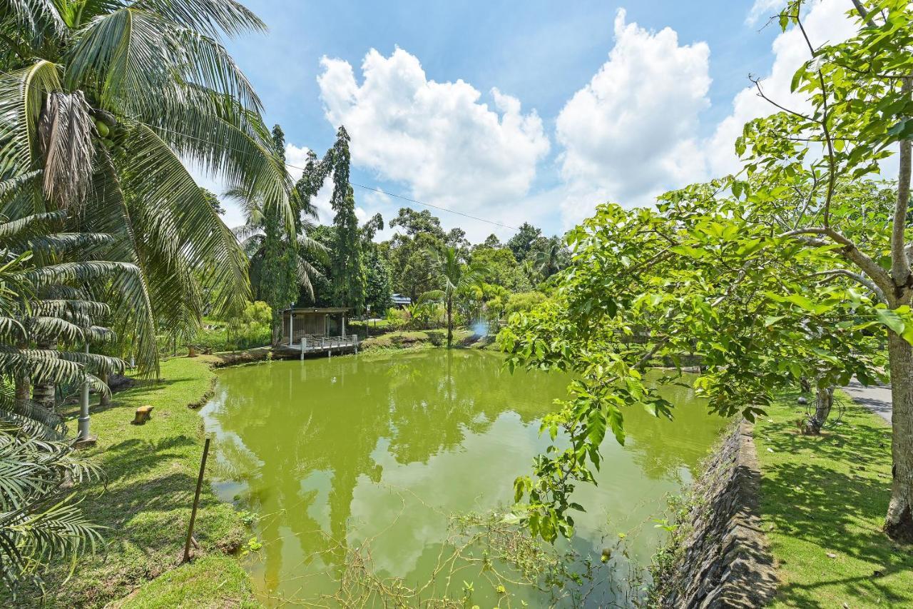 Oyo 90636 Teratak Zakiah Chalet Hotel Jerantut Exterior photo